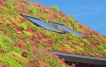 Letterfearn living roof systems