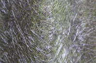 Letterfearn fibreglass roof work